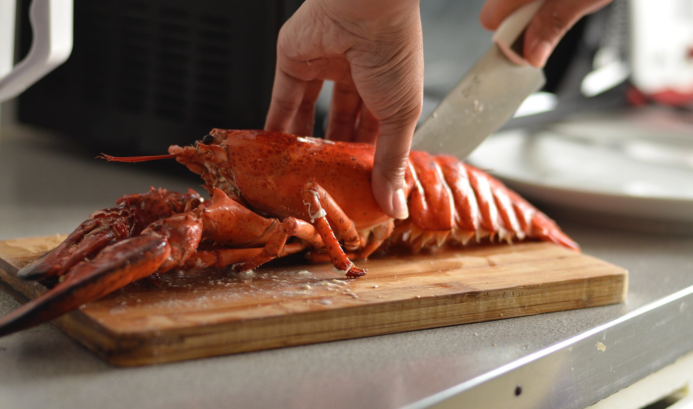 lobster being cut